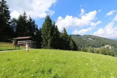 Loderbichl Alm Ferienwohnungen