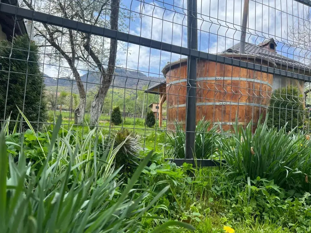 Cozy House Zărnești
