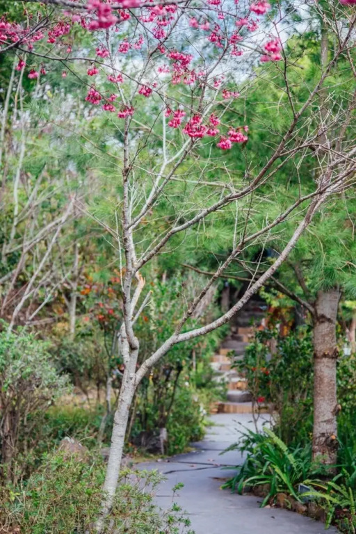 Yunnan Homestaty