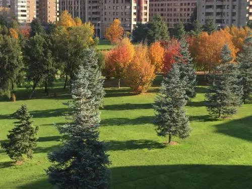 Pensión Pasadena