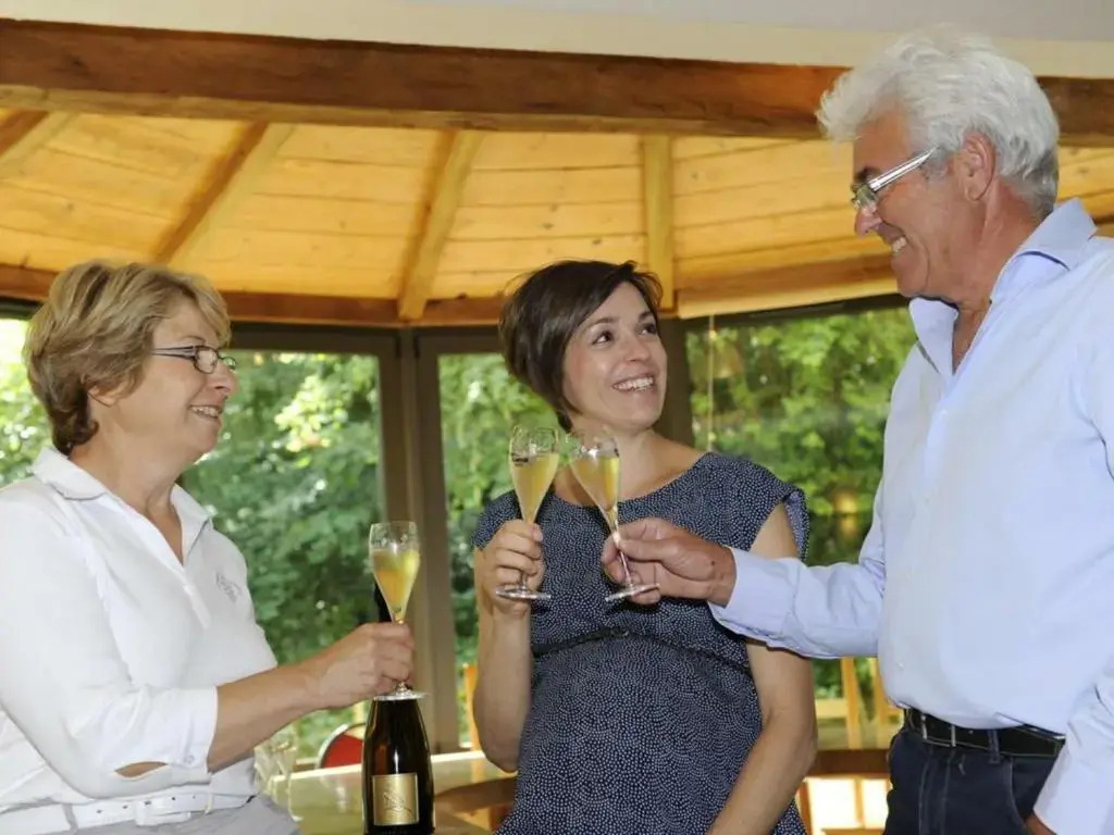 Gite Bar-sur-Seine, 7 pièces, 26 personnes - FR-1-543-134