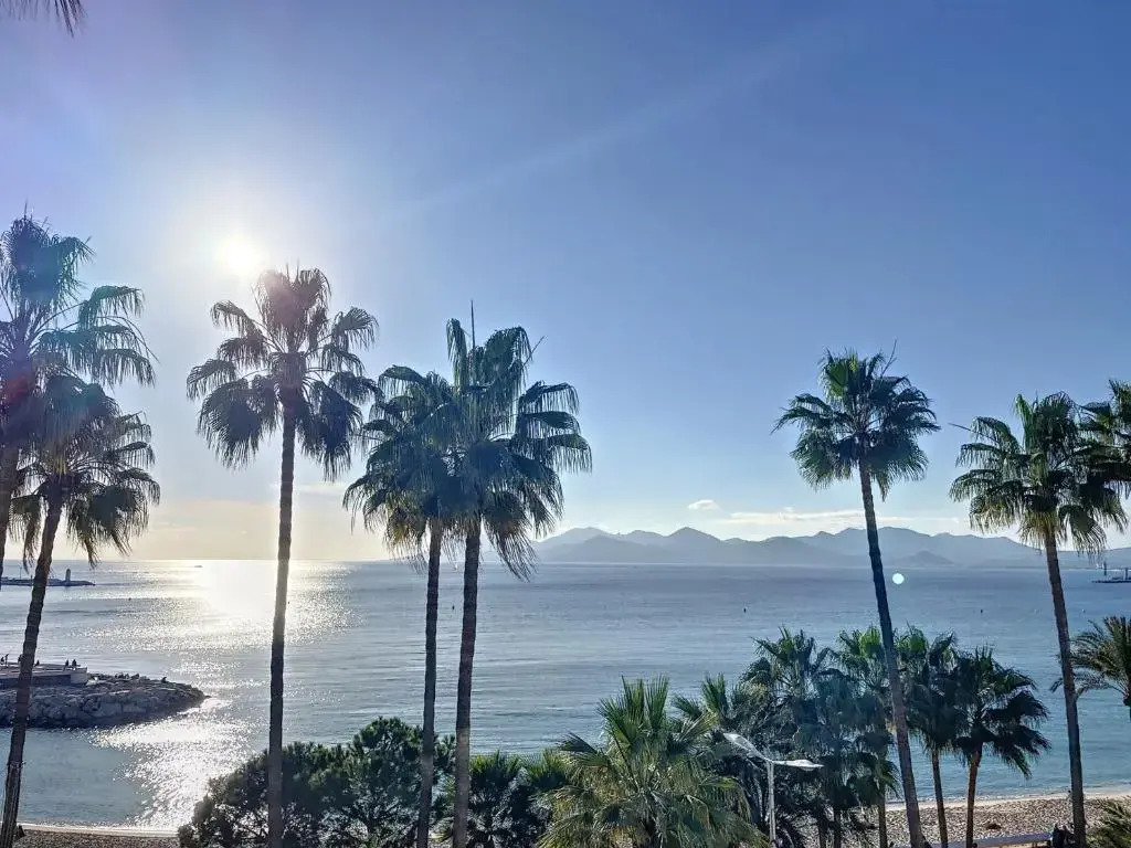 Appartement Cannes, 2 pièces, 2 personnes - FR-1-470-27