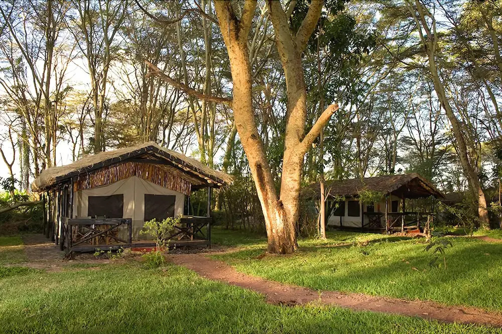 Migunga Forest Camp