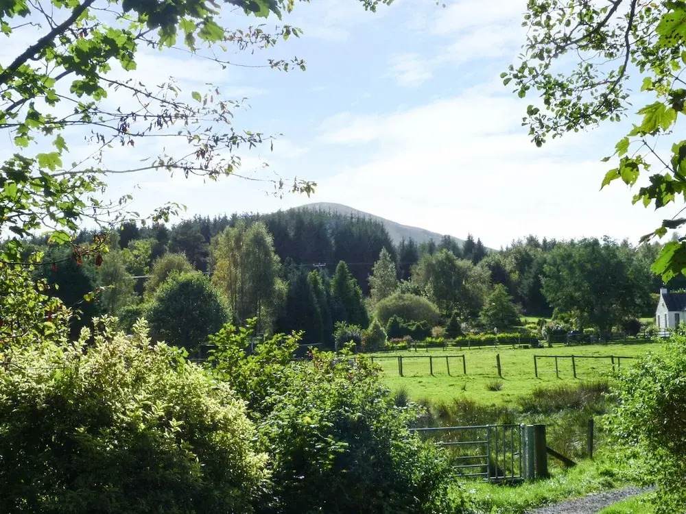 1 Milldam Croft