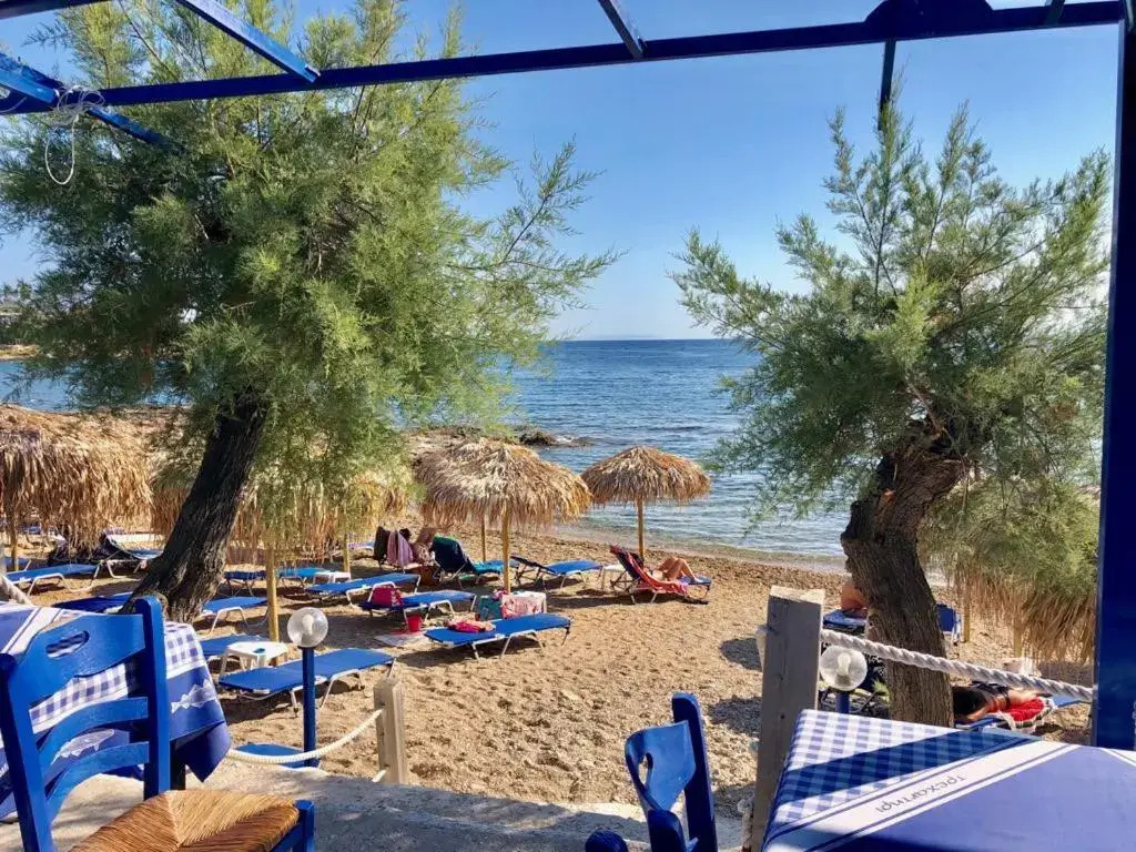 Sea view ground floor 300m from the beach
