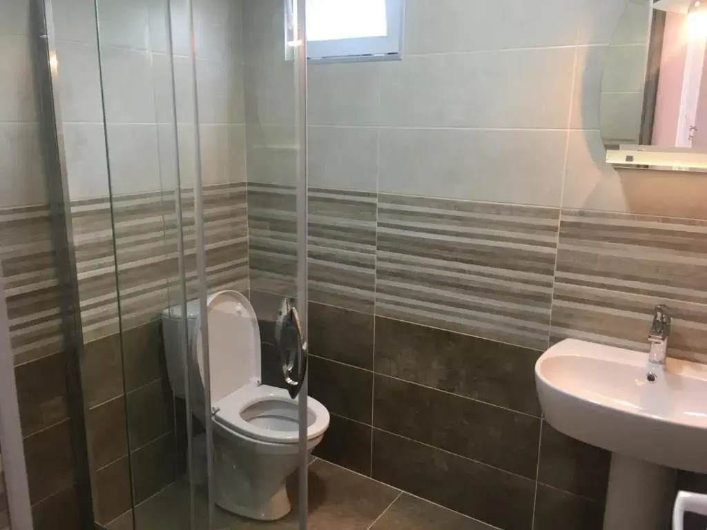 Guest house Romanadze