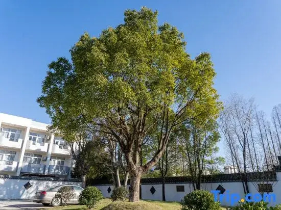 Yishuiwan Hot Spring Hotel (Lujiang Tangchi Hot Spring Resort)