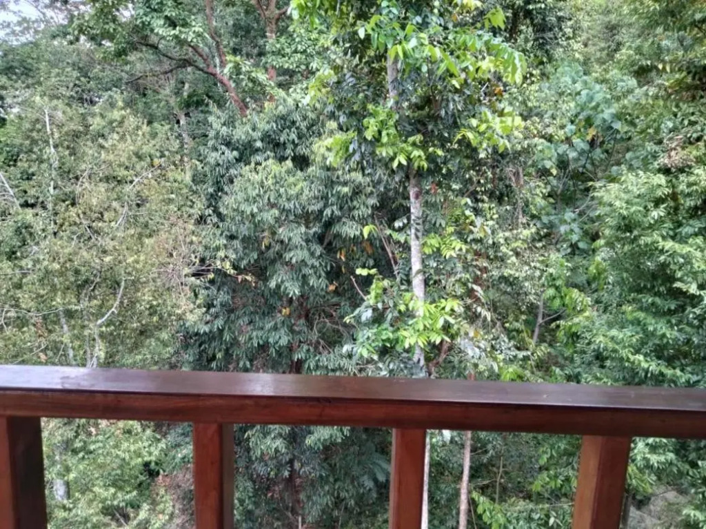 On The Rocks Bungalows, Restaurant and Jungle Trekking Tours - From May to September only stay here