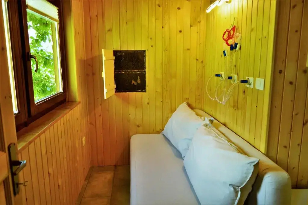 Sleeping with the bees Kozjak