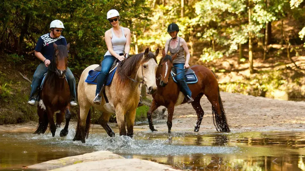 Glenworth Valley Wilderness Adventures