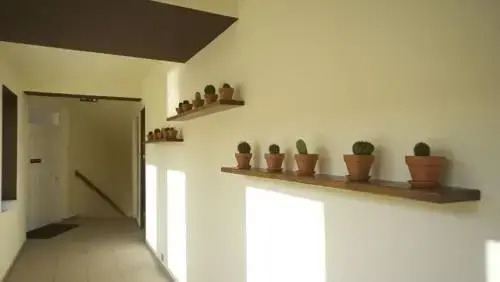 Pálma Pension