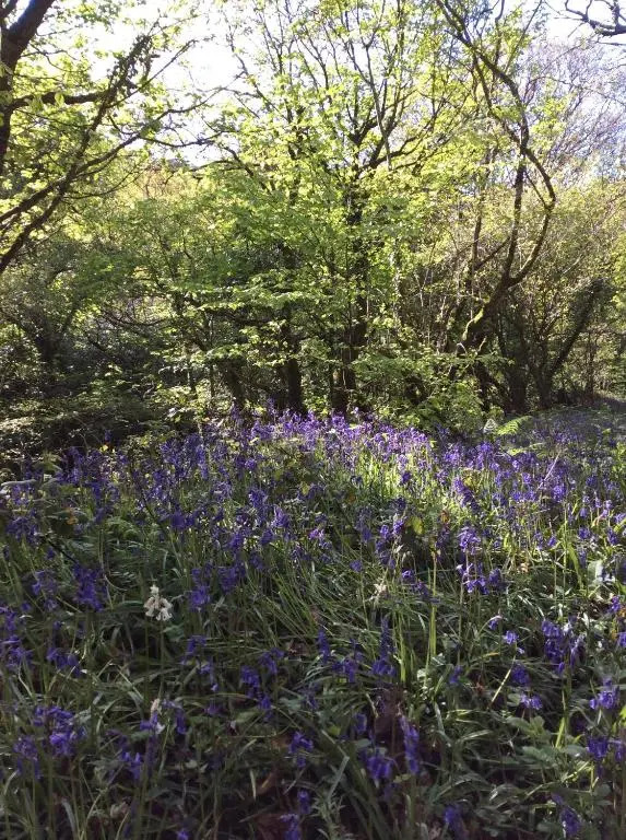 Treganoon House rural location near Eden Project Lanhydrock & Fowey Perfect for exploring Cornwall