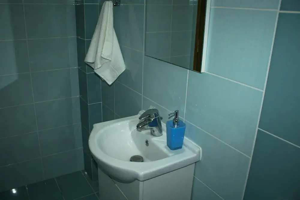 Elina's House