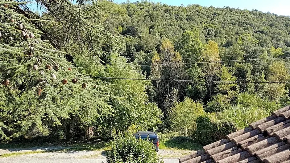 Le Clos du Cèdre