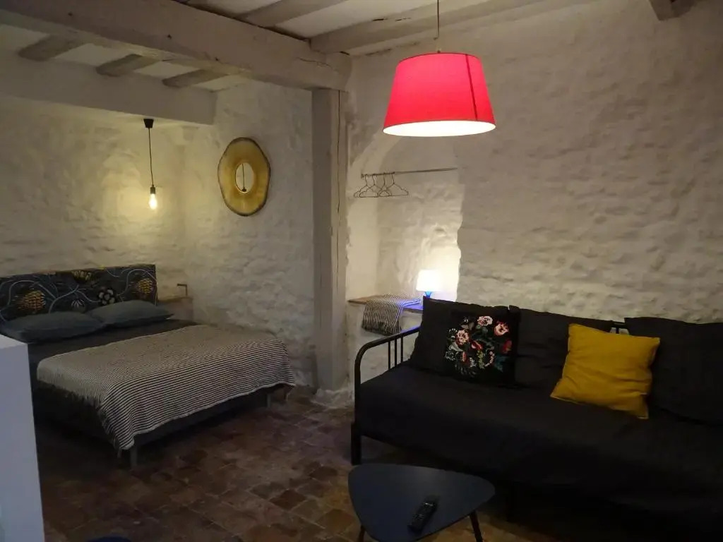 Appartement spacieux avec une vue sur Tours ( 38m²) -Gite de Bellevue
