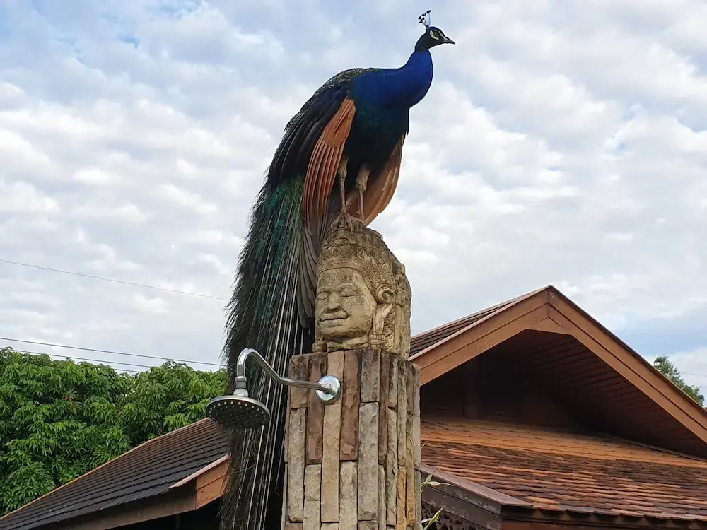 Viang Yonok Hotel, Restaurant, Sports Club