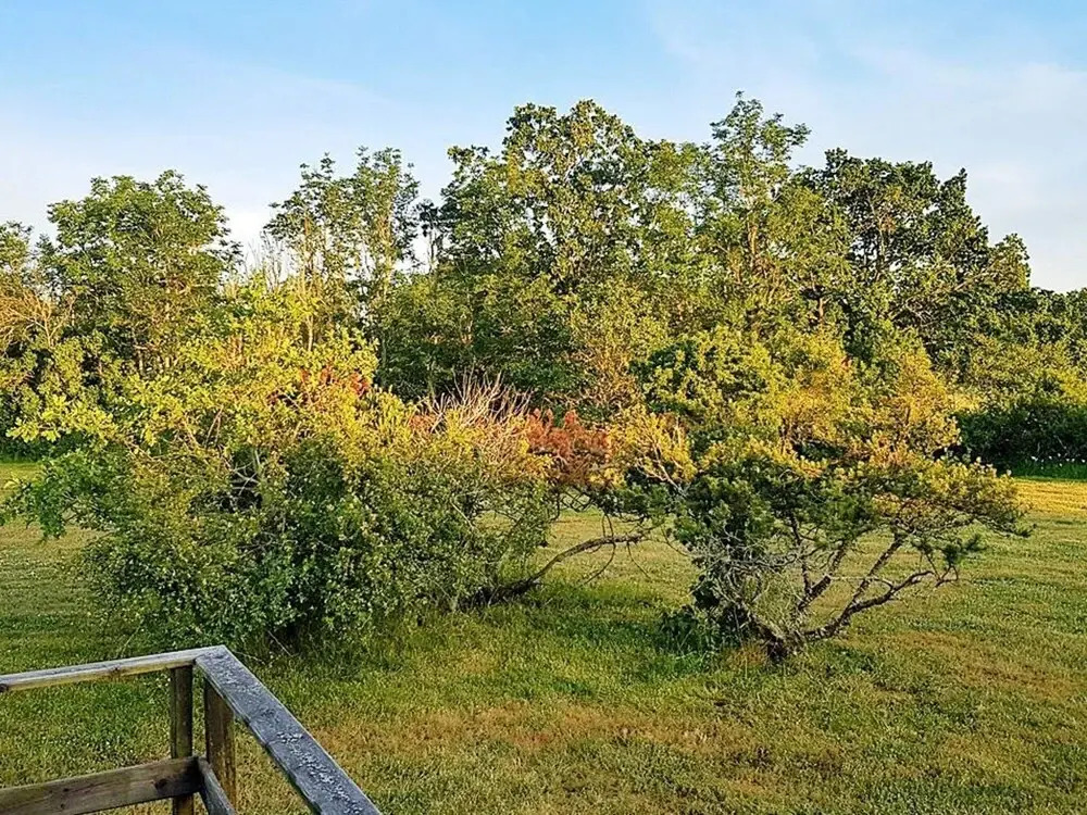 6 Person Holiday Home in Löttorp