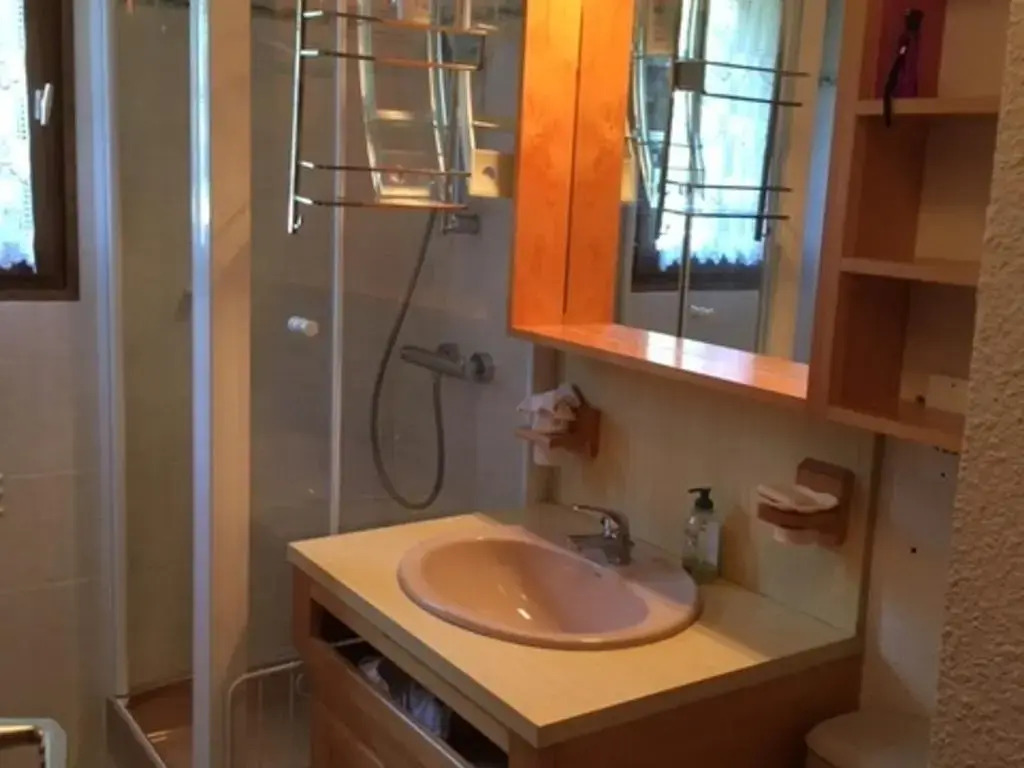 Appartement Samoëns, 2 pièces, 4 personnes - FR-1-629-71
