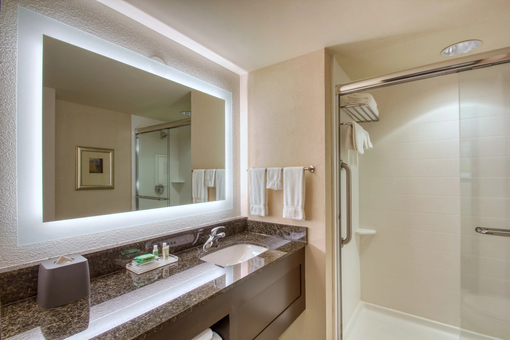 Holiday Inn & Suites Atlanta Airport North by IHG