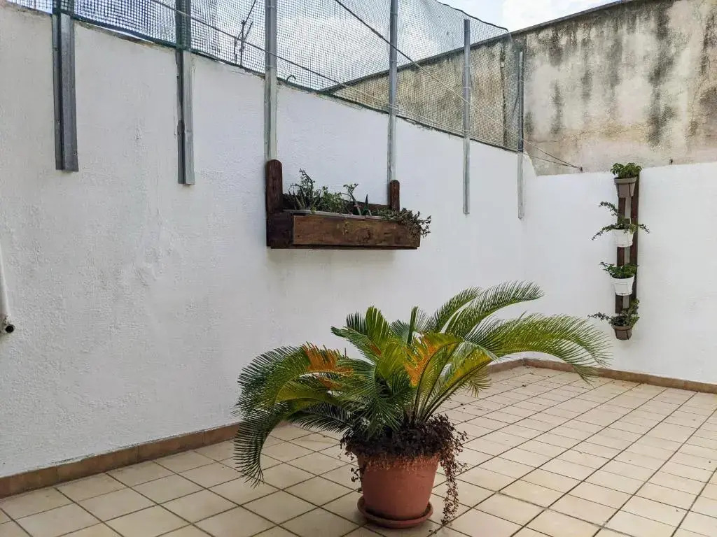 Appartamento Marino Centro Storico con Terrazza