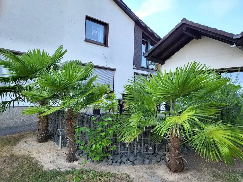 Regal Apartment in Pracht With Garden and Grill