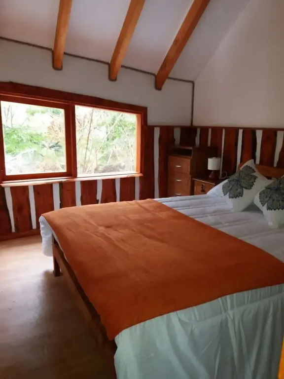Lodge Palguin Alto
