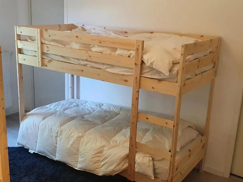 Appartement Saint-Jean-de-Sixt, 4 pièces, 8 personnes - FR-1-459-190
