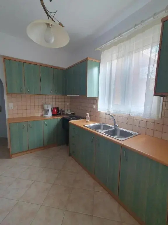 Vivis house