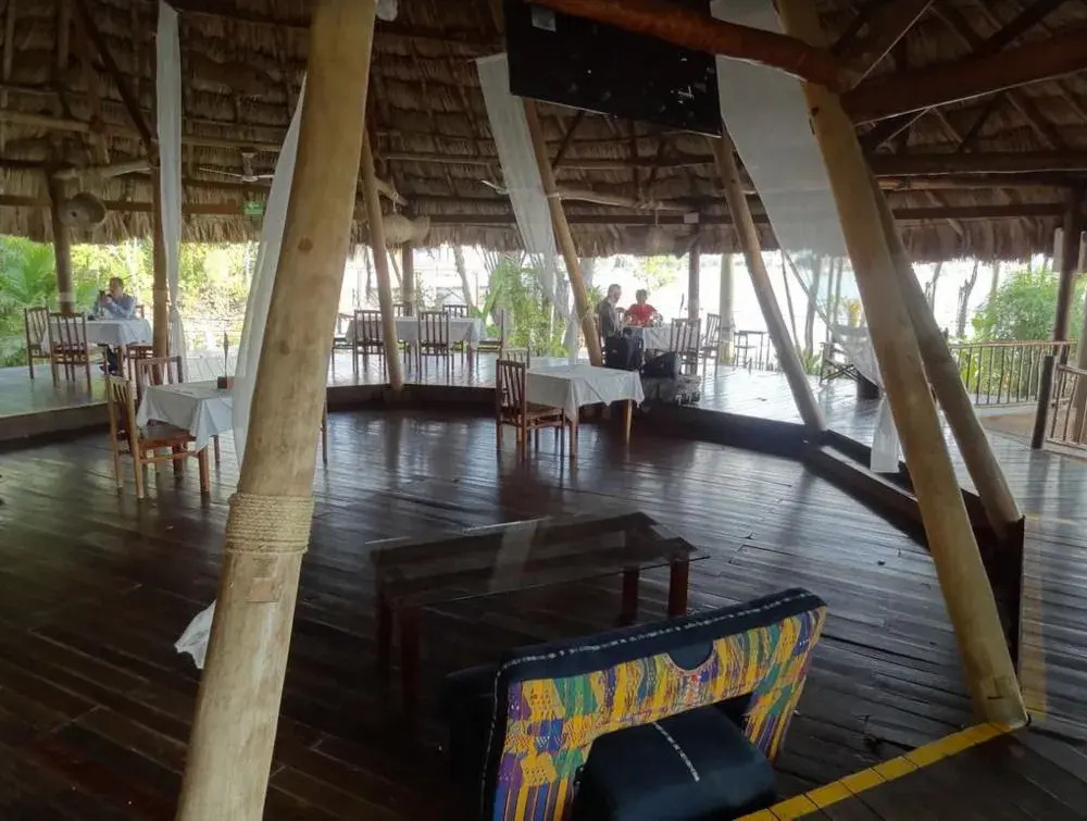 Maya Internacional