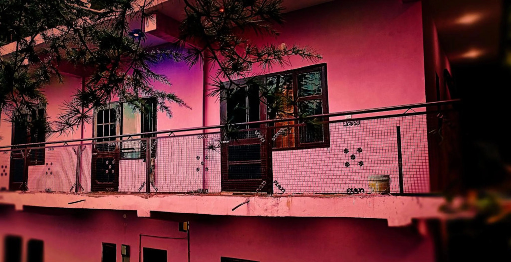 Peace holiday homestay