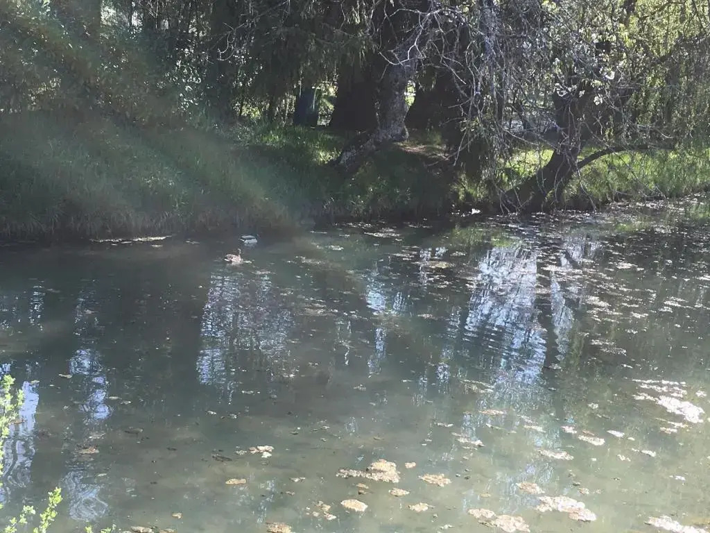 Au Bord de La Dhuy