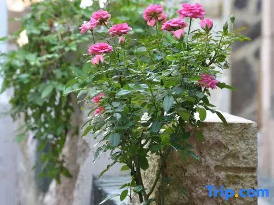 Xunkezhan Hostel