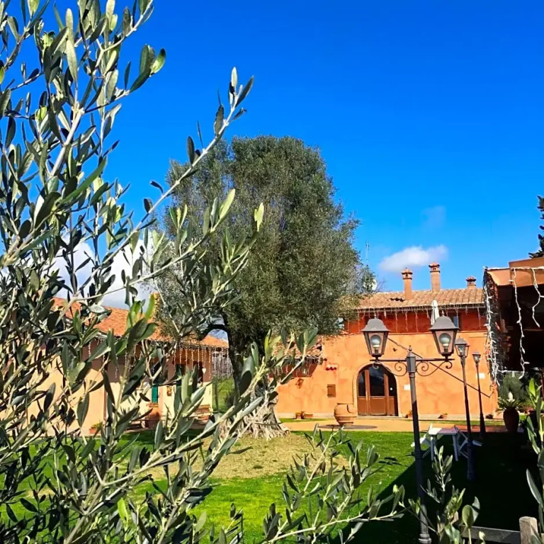 Poggio dei cavalieri
