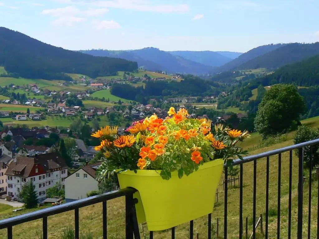 Gästehaus Talblick Baiersbronn