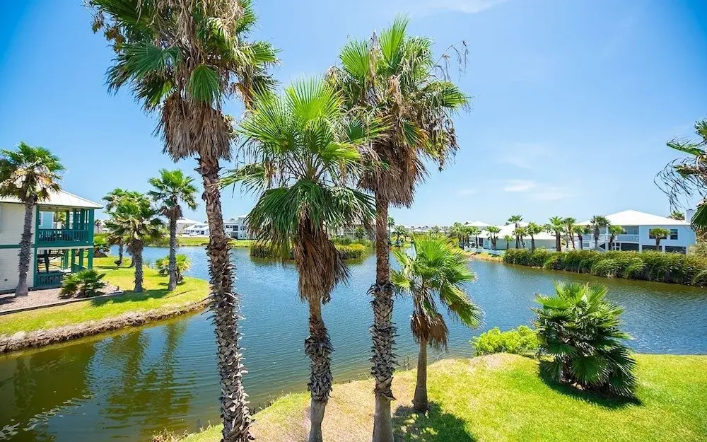 The Original Purple Pelican - 3 Br Home