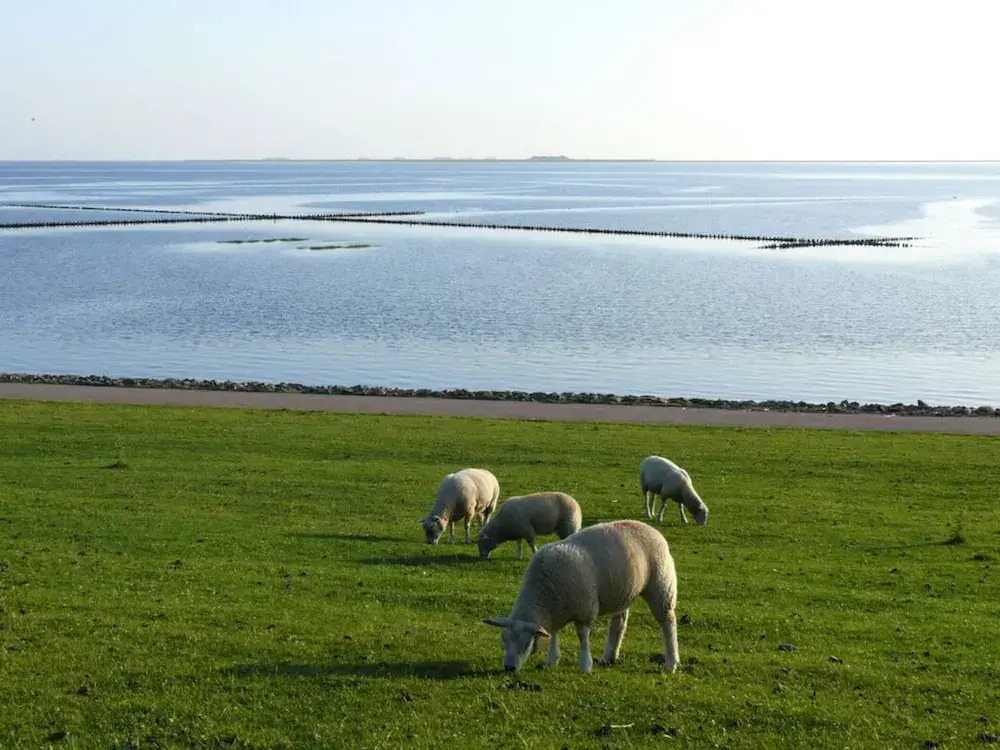 Frisian House by the sea