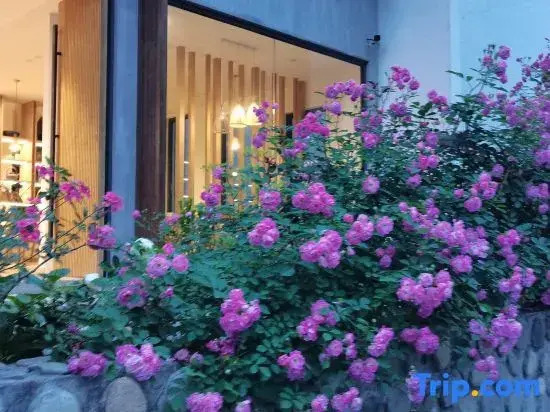 Yunli Shansu (Huangshan Scenic Area Branch)