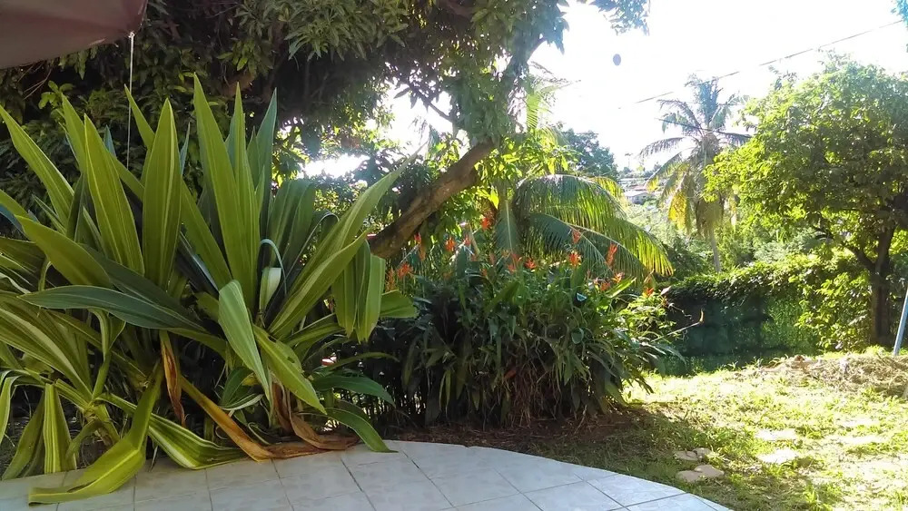 Studio In Schoelcher With Wonderful Sea View Enclosed Garden And Wifi