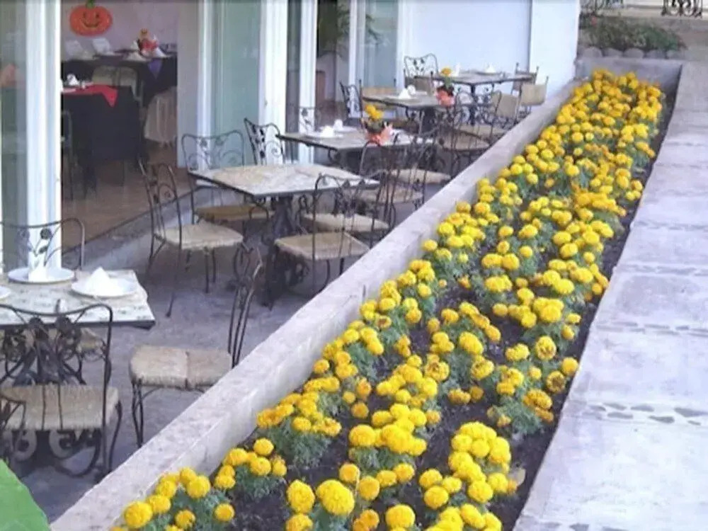 Hotel Jacarandas