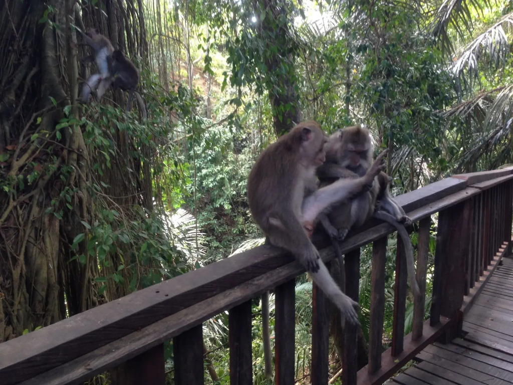 Mano House Ubud