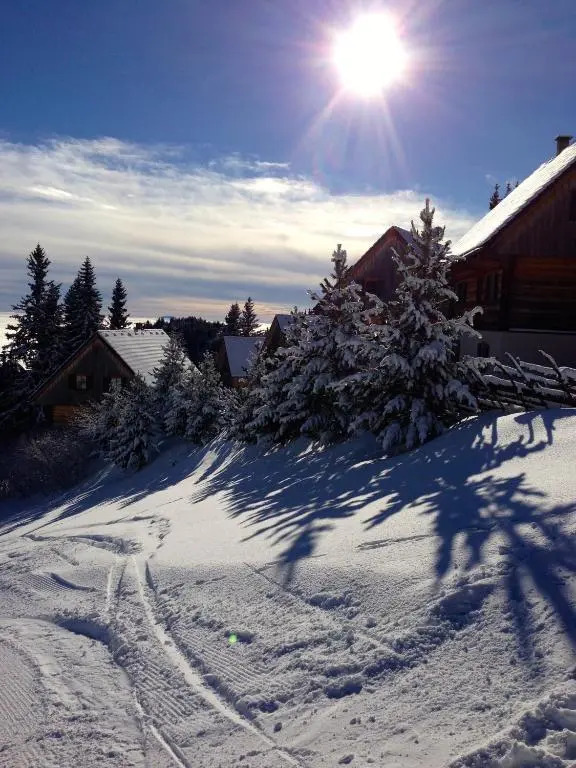 MoselebauerAlm
