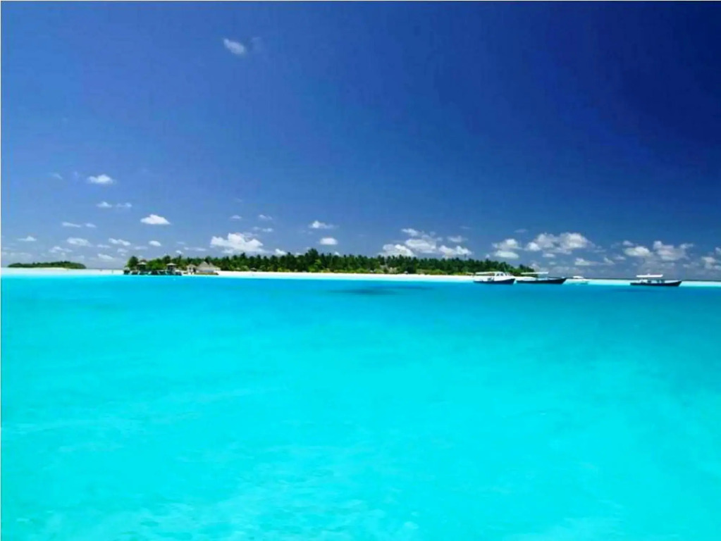 Coral Heaven Maldives
