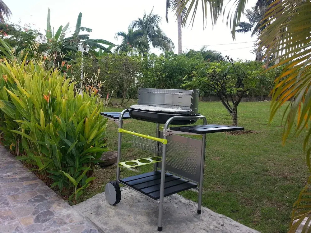 Iguanina