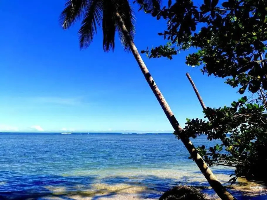 Starfish Cahuita's House - Casa Vacacional