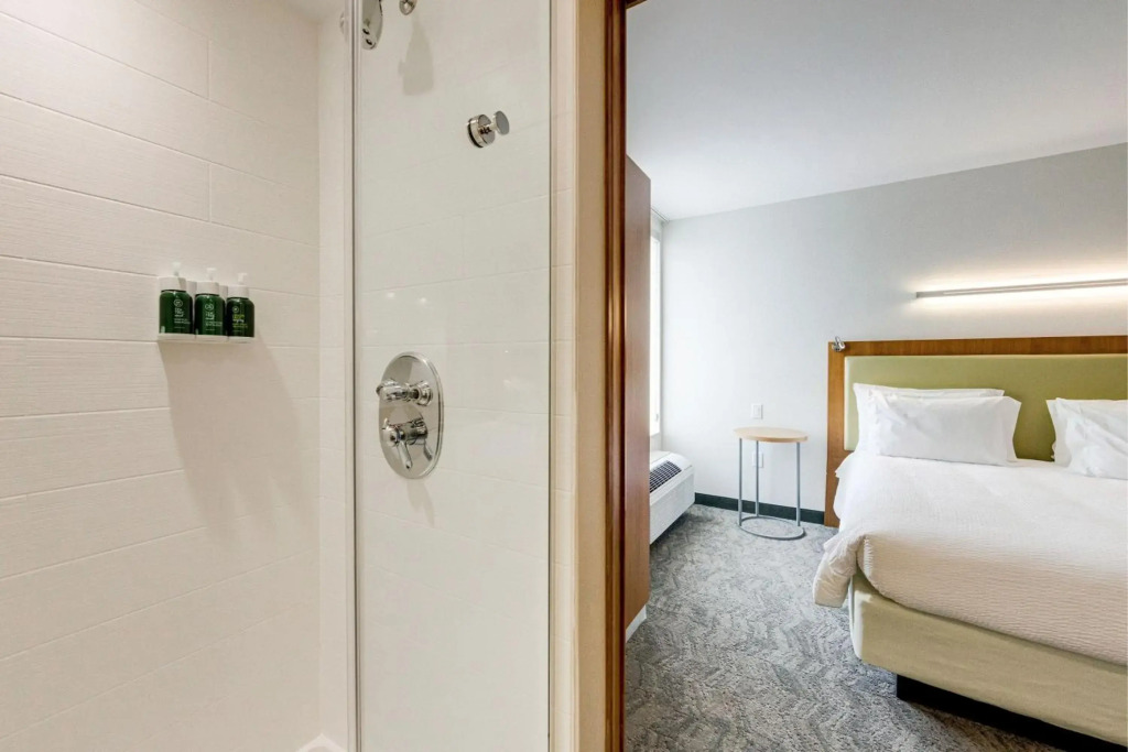 SpringHill Suites by Marriott Houston The Woodlands