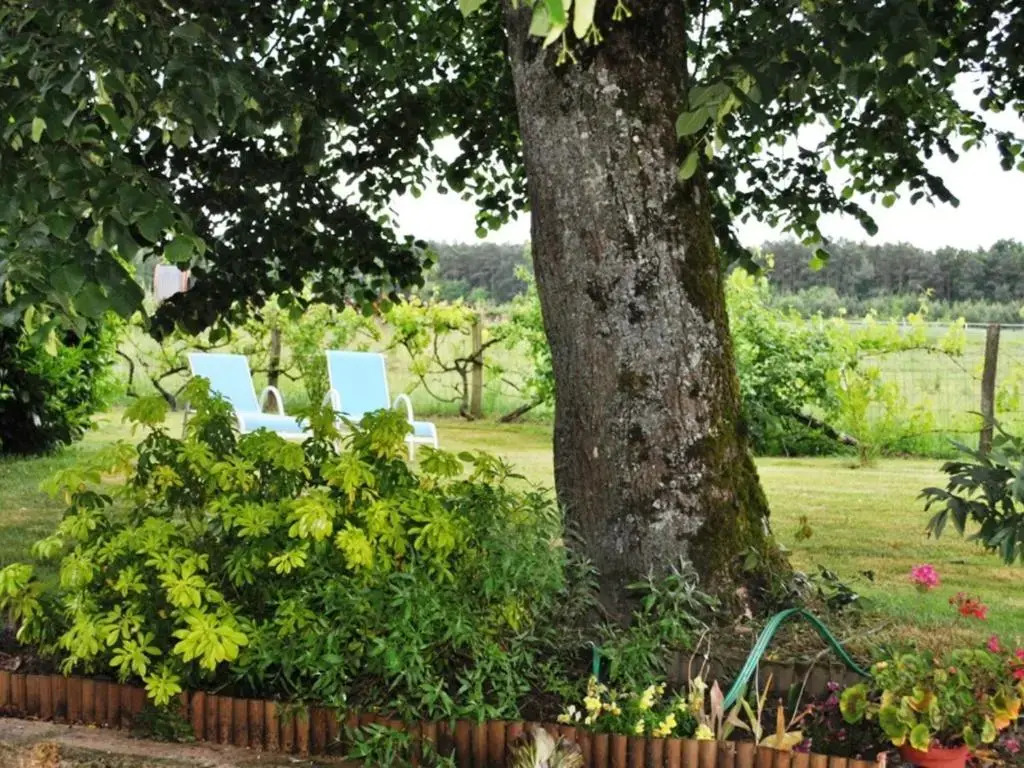Gîte de charme en Touraine du Sud, jardin clos, 3 chambres - FR-1-381-321