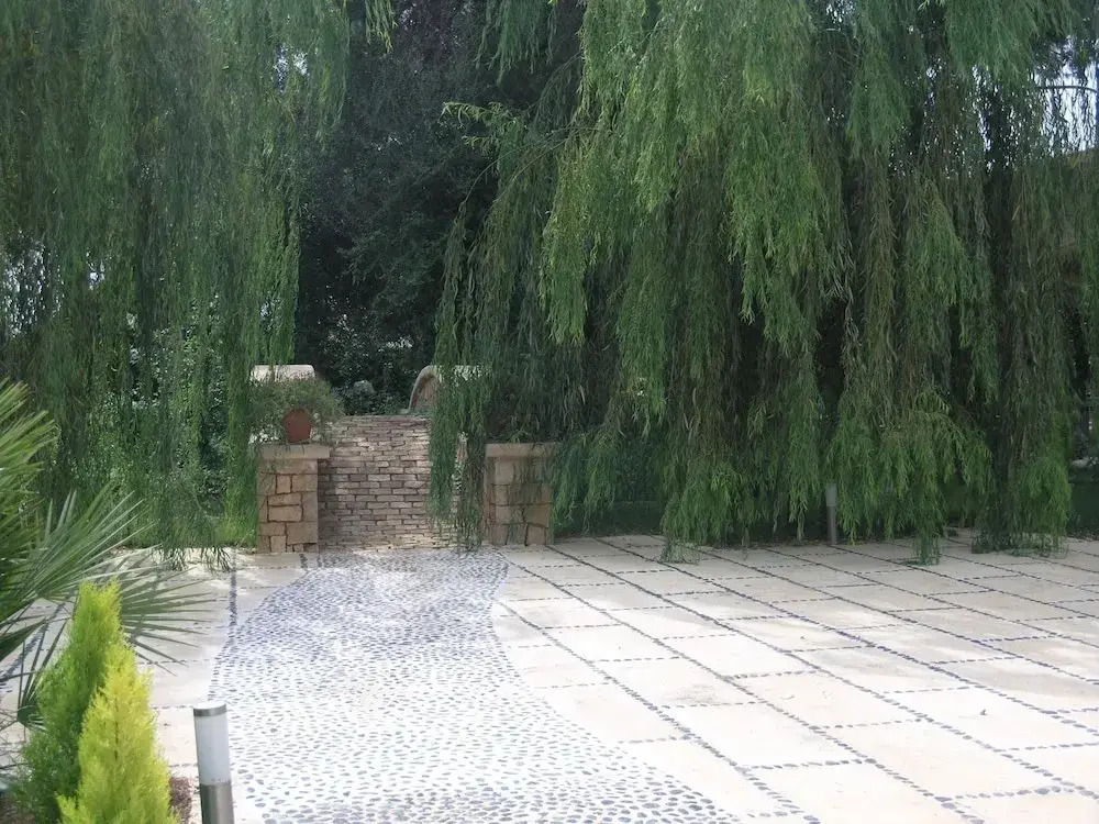 Villa Son Menusset, Piscina privada, WiFi, Sabor a Naturaleza