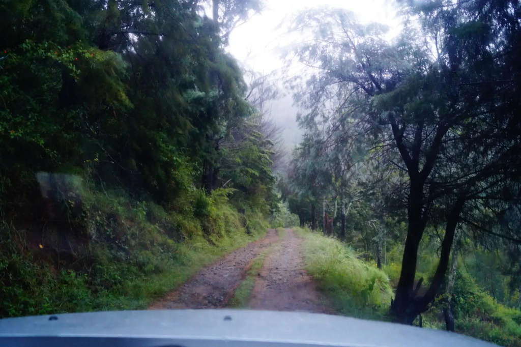 Secret Valley Jungle Resort