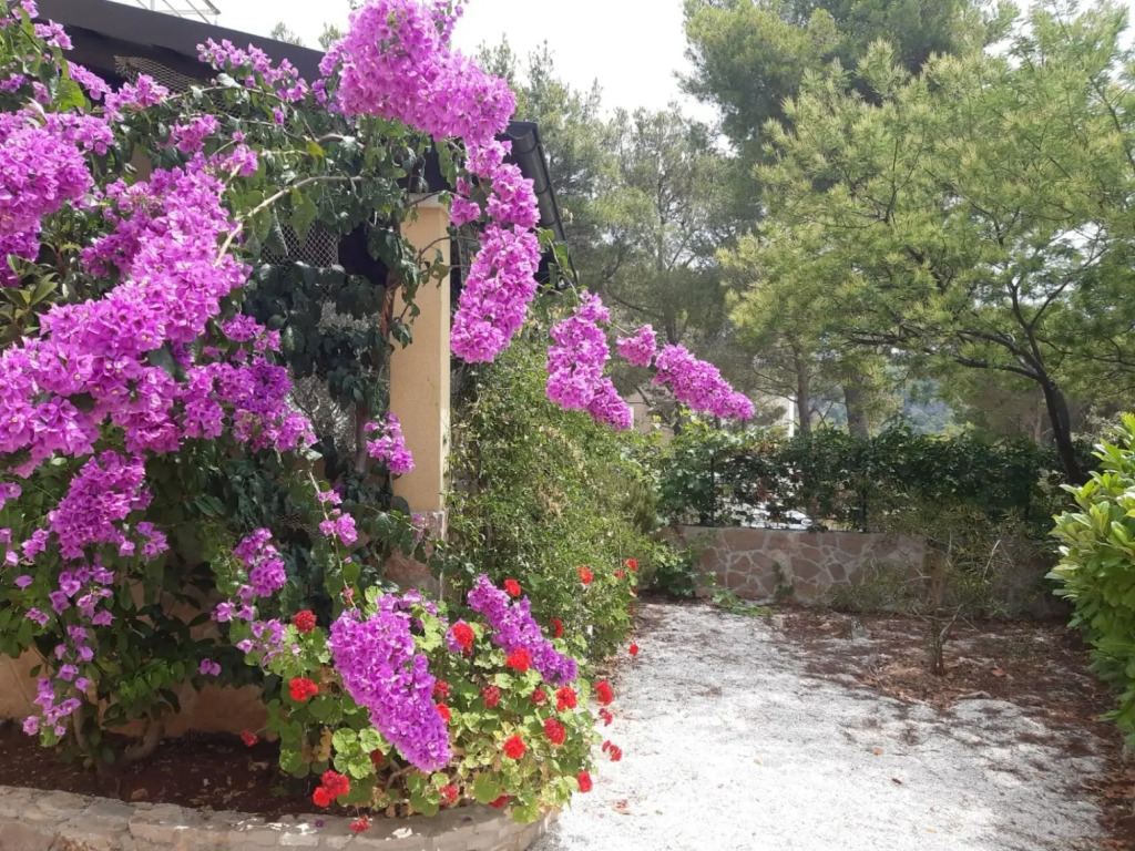 Deni - 70m From Beach - A1