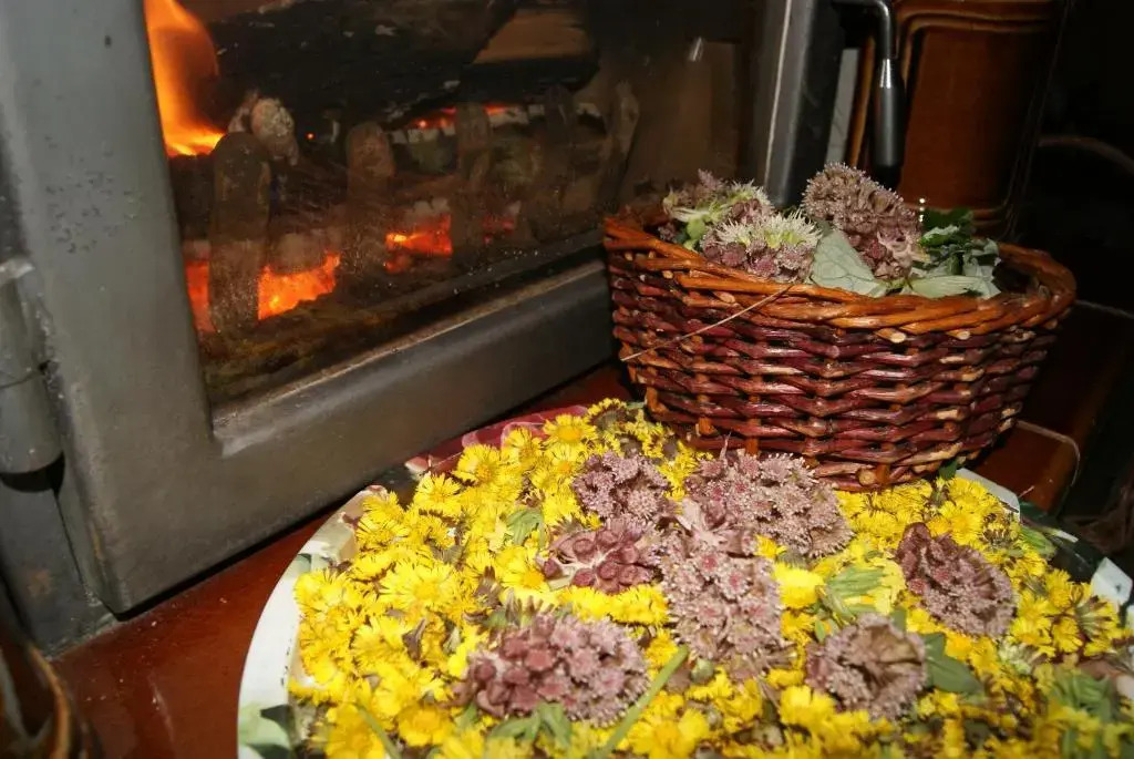 Chalet Horní Orlice